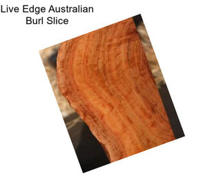 Live Edge Australian Burl Slice