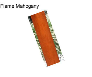 Flame Mahogany