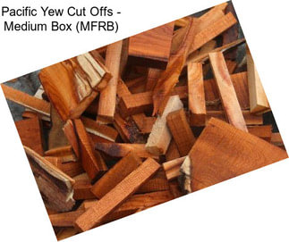 Pacific Yew Cut Offs - Medium Box (MFRB)