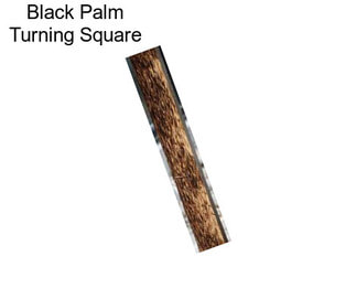 Black Palm Turning Square