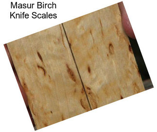 Masur Birch Knife Scales