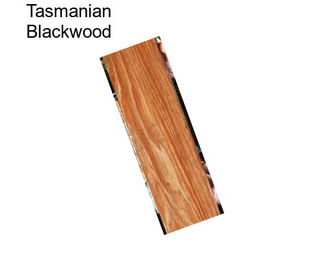 Tasmanian Blackwood