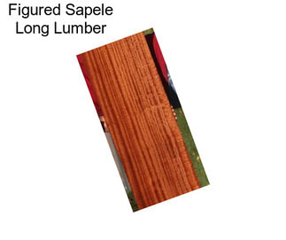 Figured Sapele Long Lumber