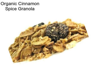 Organic Cinnamon Spice Granola