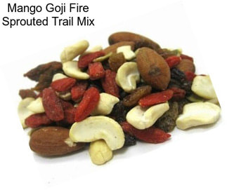 Mango Goji Fire Sprouted Trail Mix