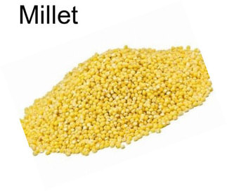 Millet