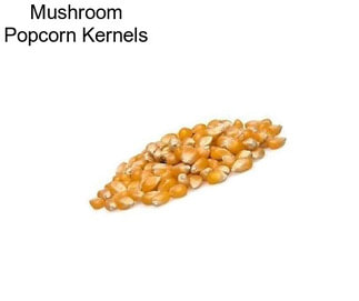 Mushroom Popcorn Kernels