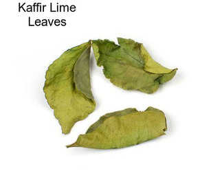 Kaffir Lime Leaves