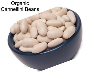 Organic Cannellini Beans