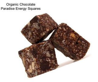 Organic Chocolate Paradise Energy Squares