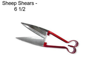 Sheep Shears - 6 1/2\
